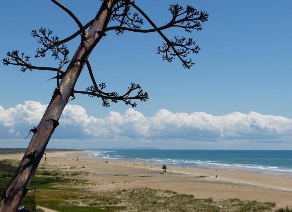 Apartamentos El Arrecife Conil De La Frontera Luaran gambar